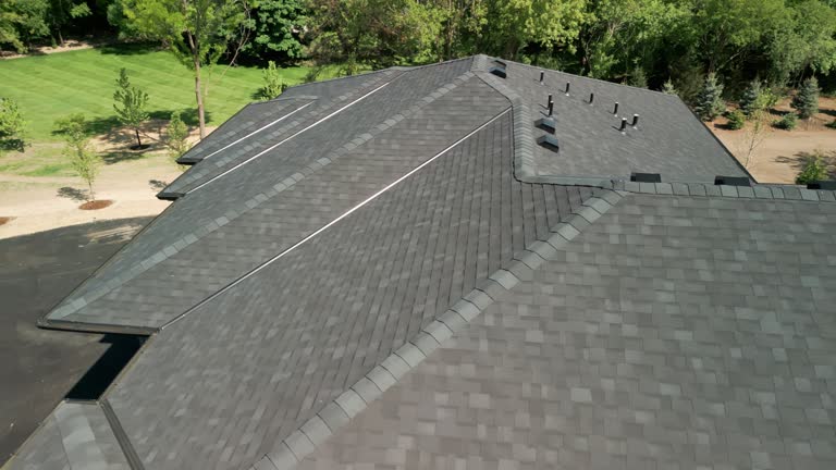 Best Roof Coating and Sealing  in Millville, DE