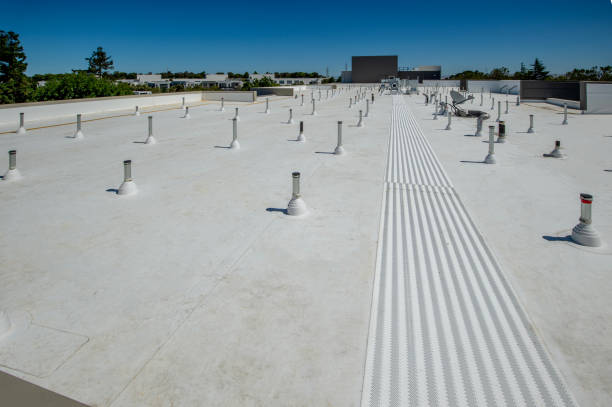 Best Steel Roofing  in Millville, DE